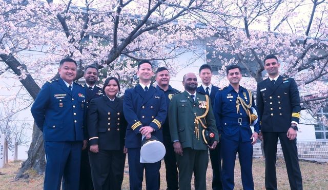 桜の木の下で